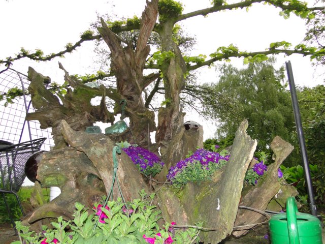 HWK 2010 257.jpg